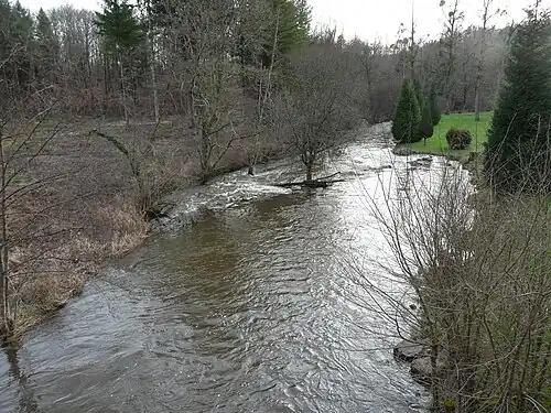 La Tardoire au pont des RD 50 et 88 en limite de Busserolles et Roussines (aval).