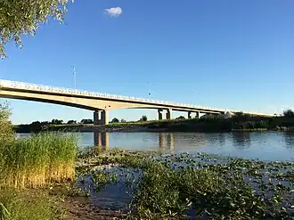 Image illustrative de l’article Idaringtee