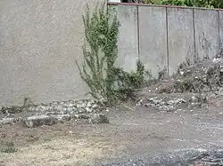 Photographie en couleurs d'un mur ruiné pour vu deux décrochements.
