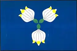 Drapeau de Tasovice