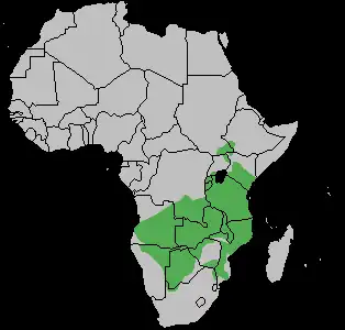 Description de cette image, également commentée ci-après