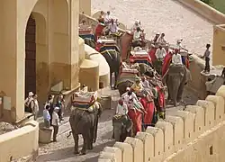 Le va-et-vient des "éléphants-taxis".