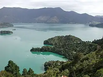 Photographie d'une baie où mouillent des navires de plaisance, enserrée dans des pentes couvertes de forêts.