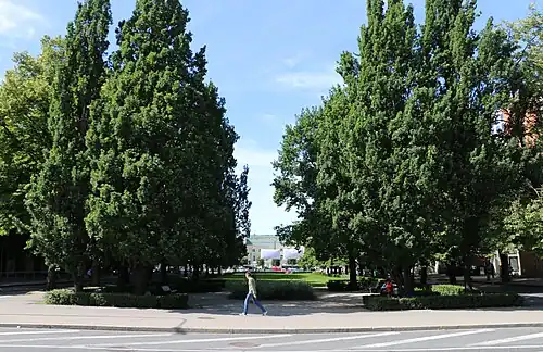 La place du Théâtre vue de la place d'Islande.