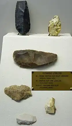 Silex taillés selon la méthode Levallois.