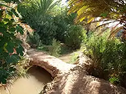 Seguia / Targa, technique traditionnelle d'irrigation par canaux à Imassine.