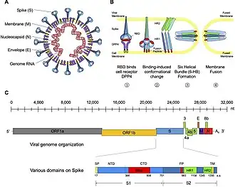 Description de cette image, également commentée ci-après