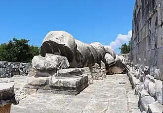 Colonne effondrée, temple d'Apollon (Didymes).