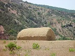 Grande meule, Temsamane, Maroc, 1978