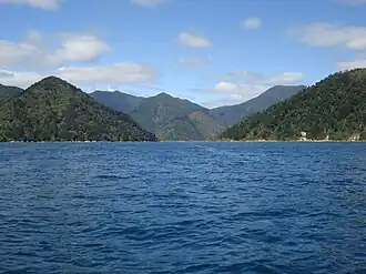 Photographie d'un bras de mer étroit enserré entre deux rives boisées en forte pente.