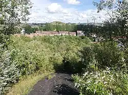 Vue vers le terril Saint-Théodore Est.