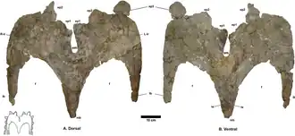 Description de cette image, également commentée ci-après