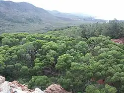 Réhabilitation de terrains miniers.