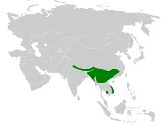 Description de l'image Tesia cyaniventer distribution map.png.