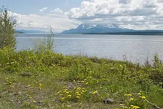 Image illustrative de l’article Lac Teslin