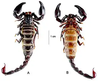 Description de cette image, également commentée ci-après