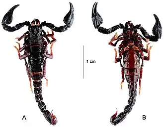 Description de cette image, également commentée ci-après