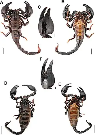 Description de cette image, également commentée ci-après