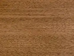 Texture du bois de noyer