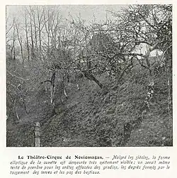 Photographie en noir et blanc avec des arbres