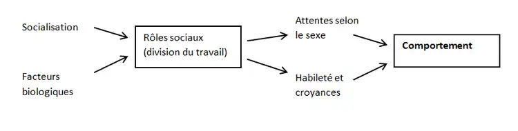 Théorie des rôles sociaux (Eagly, 1987)