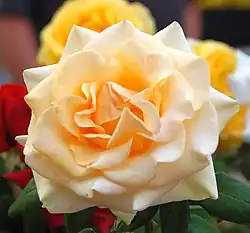 'Marilyn Monroe', (2002)