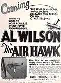 The Air Hawk (1924)