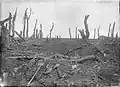 Photo noir et blanc avec terre toute retournée et troncs d'arbres déchiquetés.