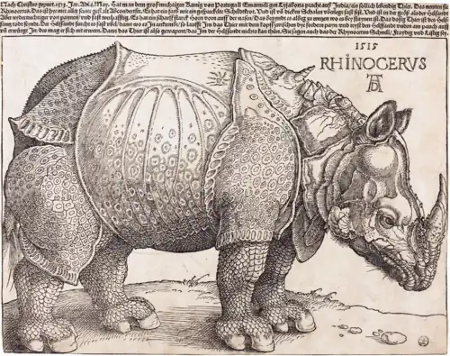 Albrecht Dürer, Le Rhinocéros. 1515. Gravure sur bois, H. 23,5&nbsp;cm. Washington, National Gallery of Art.