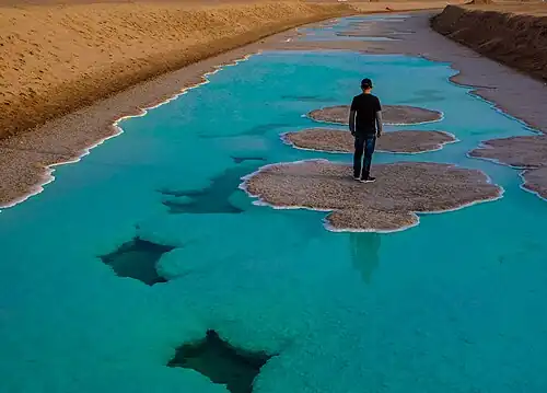 Lac salé, sur le territoire des Bani Yas, dans la محمية_الوثبة_للأراضي_الرطبة&nbsp;(ar), dans la région Al Bihouth aux émirats. Mai 2021.