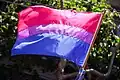 Drapeau bisexuel à San Francisco (États-Unis) en 2009.