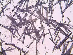 Image illustrative de l’article Fulminate d'argent