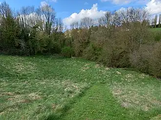 Vue générale d'un édifice de forme théâtrale avec des arbres à l'arrière-plan