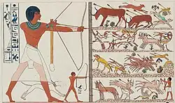 Image illustrative de l’article TT A5