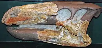 Description de cette image, également commentée ci-après