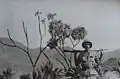 Thesiger en 1934 près de Djibouti