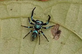 Description de cette image, également commentée ci-après