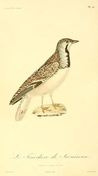 Description de cette image, également commentée ci-après