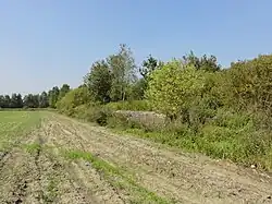 Un vestige du mur d'enceinte.