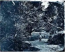 Vers 1864. Les enfants et la rivière. Singapour.