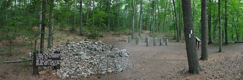 Panorama photographique du « Thoreau's Memorial » à Walden Pond. Sur la gauche : panneau de bois affichant une citation de Thoreau, tirée de Walden, puis un monceau de pierres blanches déposées par les visiteurs en sa mémoire. Sur la droite et à l'arrière-plan : stèles délimitant l'ancien site où Thoreau édifia sa cabane. Tout autour : des arbres et trois sentiers partant des lieux.