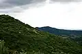 La Sarnéna Sredna Gora près de Rozovets.