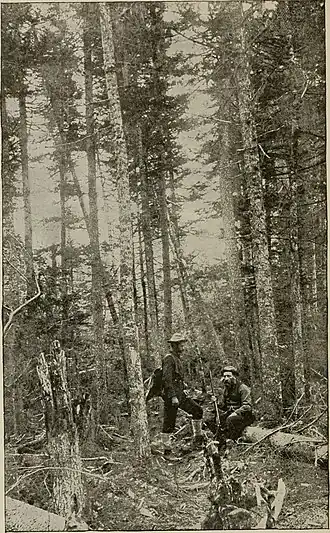 Image illustrative de l’article Lac Parmachenee