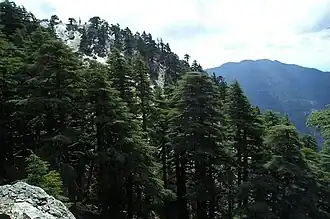 Image illustrative de l’article Djebel Tidirhine