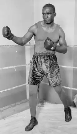 Image illustrative de l’article Tiger Flowers