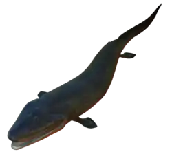 Reconstitution en image de synthèse.