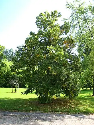 Description de cette image, également commentée ci-après