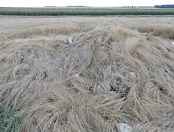 Tumulus de Menainville