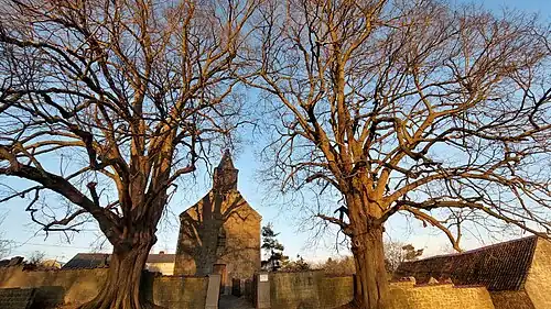 Eglise et tilleuls classés