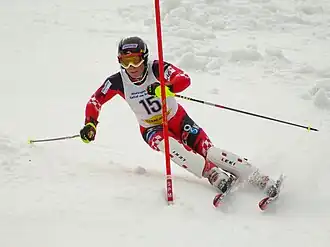 Image illustrative de l’article Tin Široki